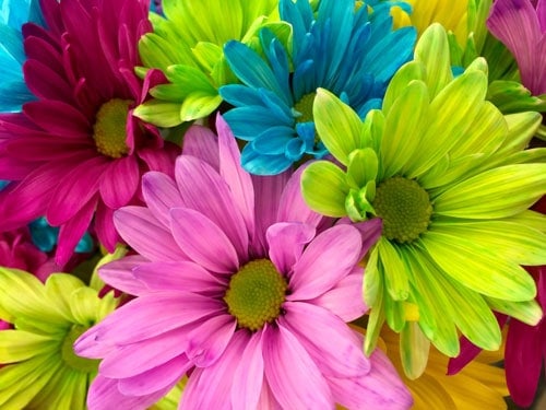 9 prizes for clearance baby shower games